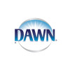 Dawn