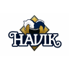Havik